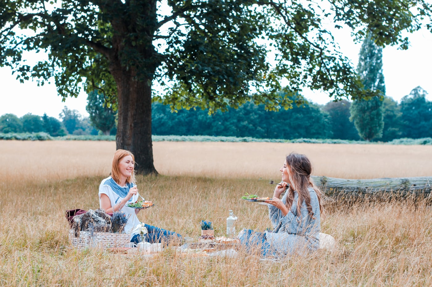 Two friends having a picnic in a sunny field